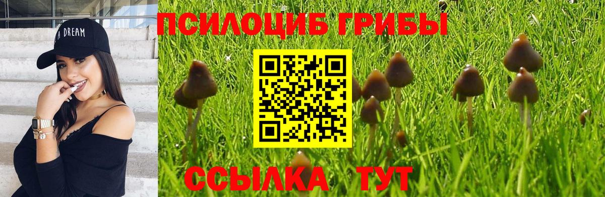 Галлюциногенные грибы GOLDEN TEACHER Саров