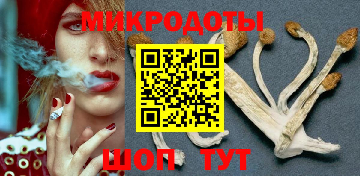 Галлюциногенные грибы GOLDEN TEACHER  Галлюциногенные грибы Psilocybine cubensis  хочу наркоту  Саров  Вход с VPN 